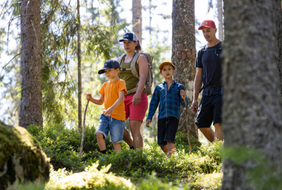 Familj på vandring i skogen