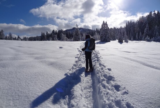 snow-1179652